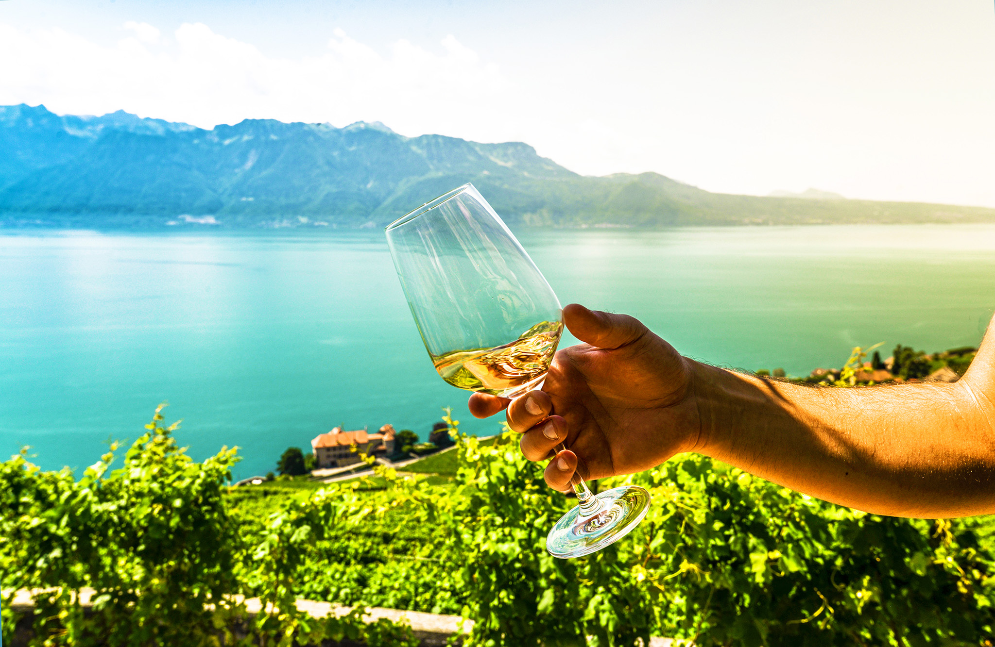 Apéritif Lavaux